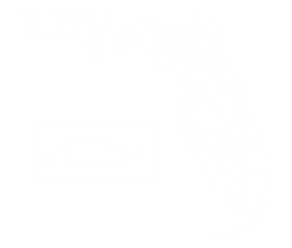 map-fl-puerto-rico-vls